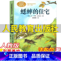 蟋蟀的住宅 [正版]蟋蟀的住宅法布尔著昆虫记四年级上册人民教育出版社人教版语文配套阅读彩图美绘版王林主编课文作家作品系列