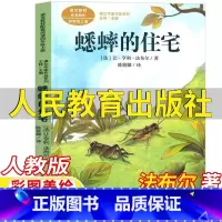 蟋蟀的住宅 [正版]蟋蟀的住宅法布尔著昆虫记四年级上册人民教育出版社人教版语文配套阅读彩图美绘版王林主编课文作家作品系列