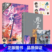 [正版]烧不尽 回南雀 著 新增出版番外 双向温暖 飞鸥不下 青梅屿 作者 青春文学实体小说书籍 新视角图书