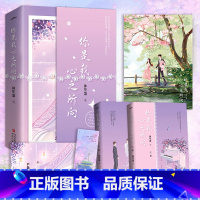 [正版]你是我心之所向 破云起书院渠道订阅记录作品 读者交口称赞 一个温暖与被温暖爱与被爱的温馨故事