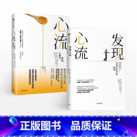 心流+发现心流(套装共2册) [正版]F 心流 +发现心流(套装共2册) 米哈里契克森米哈 著 郑也夫 万维钢 张德芬