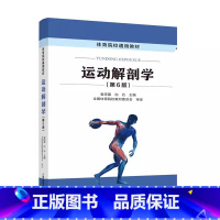 [正版]2024新书 运动解剖学 第6版 第六版 袁琼嘉 白石 述人体各器官系统形态结构基本理论体育教学运动训练体育运