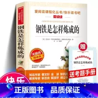 钢铁是怎样炼成的+赠考题册 [正版]爱阅读含名师点评+知识考点钢铁是怎样炼成的 天地出版社 初中原著小学生世界经名著小说