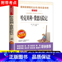 哈克贝利费恩历险记 [正版]爱阅读 哈克贝利费恩历险记 小学至初中适合阅读的课外书三四五六年级老师经典读物青少年无障