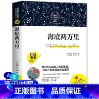 海底两万里 [正版]中英双语新版本 海底两万里 英汉对照中英文版英文版原版儒勒凡尔纳著英语原著 初中版书籍凡尔纳五年级六