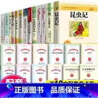 全12册:八年级上册+下册完整版阅读书 [正版]全套5册长征王树增+飞向太空港+寂静的春天+星星离我们有多远八年级上册必