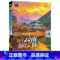 [正版]云南旅游书籍《别样云南别样风情》 旅游攻略指南 自驾游图说天下国家地理系列 国内旅游 薛金