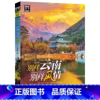 [正版]云南旅游书籍《别样云南别样风情》 旅游攻略指南 自驾游图说天下国家地理系列 国内旅游 薛金