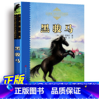 黑骏马 [正版] 黑骏马 完整版无删减 国际动物小说 儿童文学少儿童话故事 人民文学出版社 小学生版课外阅读书籍天天读经
