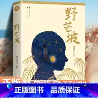 野芒坡 [正版]中国好书 野芒坡 殷健灵儿童文学长篇力作 男孩成长励志故事 儿童读物心灵成长小说三四五六年级课外书小学生
