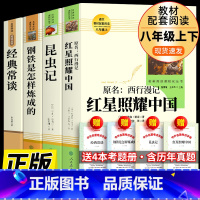人教版:全4册 八年级+赠考题册 [正版]全4册八年级课外书籍昆虫记原著完整版红心红星照耀中国上册钢铁是怎样炼成人民教育