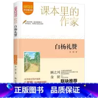 山东教育出版社 [正版] 白杨礼赞 茅盾散文集现当代文学小说读物散文随笔 青春励志散文诗歌诗词诗集作品大全经典国学作品矛