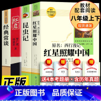 全4册 红星照耀中国+红岩+经典常谈+昆虫记 [正版]人教版4册红星照耀中国红岩经典常谈朱自清昆虫记法布尔人民教育出版社