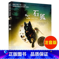 大字注音版 石狐 [正版]国际大奖小说 石狐 注音版 小学生课外阅读书籍一年级二三年级新蕾出版社 6-7-8-9-10