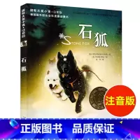 大字注音版 石狐 [正版]国际大奖小说 石狐 注音版 小学生课外阅读书籍一年级二三年级新蕾出版社 6-7-8-9-10
