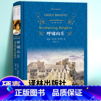 呼啸山庄 译林出版社 [正版]经典译林: 呼啸山庄 书籍 艾米莉勃朗特译林出版社 杨苡译本 中文版完整版外国现代经典文