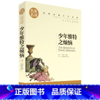 [正版]3本15元 原著 少年维特之烦恼 北京日报出版名家名译无障碍阅读世界文学名著小学四五六年级七八年级下册初中生课