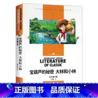 宝葫芦的秘密 [正版]任选宝葫芦的秘密 大林和小林 名师精读版 世界经典文学名著 16开 台海出版社 中小学课外读物jd