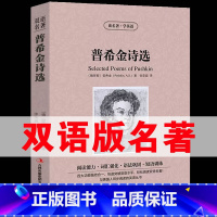 [正版]中英双语普希金诗选 中英文双语书籍名著读物英汉对照小说全套阅读 普希金原著 读名著学英语 高初中生课外阅读yy