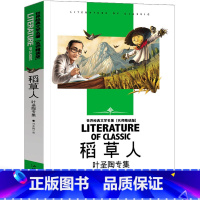 稻草人 [正版]任选稻草人书叶圣陶小学生三四五六年级汕头大学出版社 学生童书世界经典文学名著 课外读物 小学生课外读物