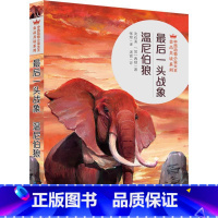 最后一头战象 [正版]后一头战象温尼伯狼/中西动物小说大王金品共读系列 人民文学出版社天天出版社 小学生课外阅读书籍三四