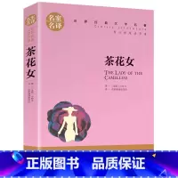 茶花女 [正版]茶花女原著 小仲马 名家名译世界文学名著青少年版 适合高中生初中生阅读的书 外国小说经典读物初中学生
