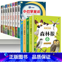 全12册 森林报+小巴掌童话 [正版]森林报 春夏秋冬全四册(彩图注音版)全4册 比安基著 480页小学生版三四五六年级