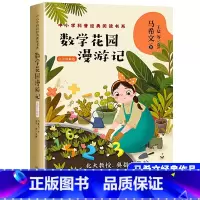 数学花园漫游记 [正版] 数学花园漫游记 马希文著 长江文艺出版社中小学科普经典阅读书系 北大天才教授练写给孩子的经典科