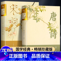 宋词三百首+唐诗三百首 [正版]唐诗三百首 宋词三百首 全集完整版无删减300首 带注释译文赏析附插图 中国传统文化国学