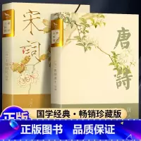 宋词三百首+唐诗三百首 [正版]唐诗三百首 宋词三百首 全集完整版无删减300首 带注释译文赏析附插图 中国传统文化国学