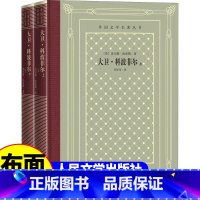 网格本:大卫科波菲尔 [正版]精装 大卫·科波菲尔 查尔斯·狄更斯著 网格本人文社外国文学名著丛书 人民文学出版社 中小