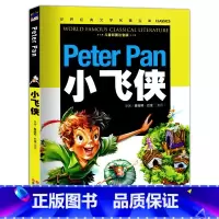 [正版]元彩图注音版 小飞侠小学生课外阅读书籍儿童读物6-7-10岁图书书籍云南教育出版社课外书拼音版一年级二年级书