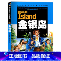 [正版]元彩图注音版 金银岛 史蒂文森 书免邮 小学生课外阅读书籍儿童读物5-6-7-10岁图书拼音版五年级四年级学生