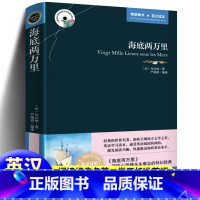 [正版]海底两万里 中英英汉对照 英文原版+中文版 原版原著 双语读物 英语大书虫世界文学名著小说 凡尔纳科幻小说书籍