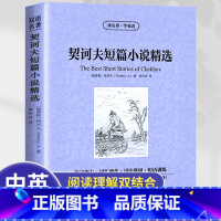 [正版]读名著学英语契诃夫短篇小说精选小说集契科夫英文原版中文版中英文对照英汉双语英语读物青初高中小学生阅读世界名著书