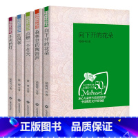 [正版] 青少年素质读本中国小小说50强不灭的灯/红风筝/点燃一个冬天/森林里的陶笛声/向下开的花朵/中国现代文学