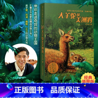 [正版]2018寒假书目 大羊驼和美洲豹 课外阅读书籍少儿童6-7-8-9-10-12岁非注音版儿童故事读物 含阅