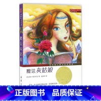 [正版]魔法灰姑娘书籍 新蕾出版社 国际大奖小说 灰姑娘的魔法之夜小学生三四五六年级课外书儿童文学7-8-9-10-1