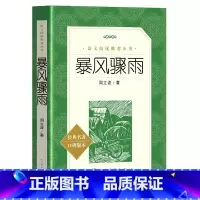 暴风骤雨 人民文学出版社 [正版] 暴风骤雨 周立波 课外阅读丛书原版长篇小说高中书籍新版高中生课外书阅读书籍