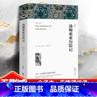 汤姆索亚历险记 完整版 [正版]汤姆索亚历险记 全译本足本无删节原版原著 青少版 世界经典文学名著小说书籍初中生小学