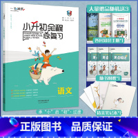 [22版 一飞冲天小升初]全程总复习(语文) 小学升初中 [正版]2025新天津专版一飞冲天小升初语文数学英语专项训练全