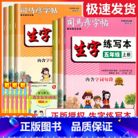 [生字练写本]语文 人教版(RJ) 一年级上 [正版]2025版司马彦字帖生字练写本小学一年级二年级三年级四年级五年级六