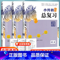 [小升初总复习]语数英 3本(全国版) 小学升初中 [正版]2024木头马小升初总复习语文数学英语小学语文知识大全盘点名