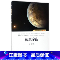 [正版] 智慧宇宙 宇宙天演论修订版 高歌 西藏古籍 航空工业出版社