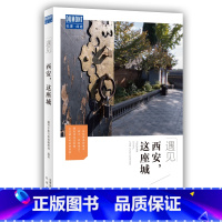 [正版]遇见西安这座城 藏羚羊旅行指南编辑部 国内城市自助旅游指南攻略书 小资生活旅游宝典 旅游文化读物北京出版社