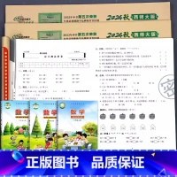 [西师大版]数学+[人教版]语文+[人教PEP版]英语 六年级下 [正版]2024秋新版 西师大版小学数学试卷测试卷全套