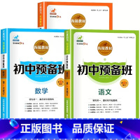 小升初预备班[语文+数学+英语] 小学升初中 [正版]小升初真题卷2024.小学升初中试卷测试卷子全套语文数学英语总复习