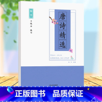 [正版]唐诗精选楷书字帖唐诗精选于佩安楷书 楷书入门基础训练教程初高中生练字钢笔字帖 唐诗临摹练字本笔画偏旁部首练