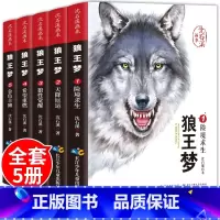 沈石溪画本 · 狼王梦(全套5册) [正版]抖音同款狼王梦沈石溪画本套装5册动物小说全集十大经典必读品藏书系 四年级五年