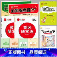 [苏教数学+人教语]练习册+试卷+口算+字帖|共6本 二年级下 [正版]2025新 苏教版二年级下册同步练习册 小学数学